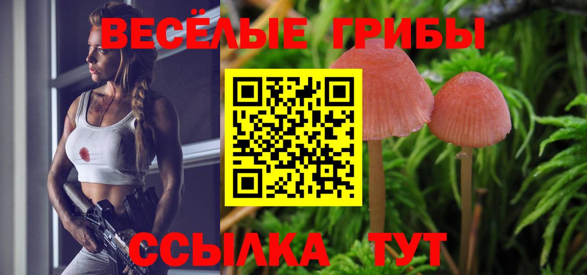 Тихвин  Галлюциногенные грибы Magic Shrooms  Псилоцибиновые грибы Magic Shrooms  Вход с VPN 