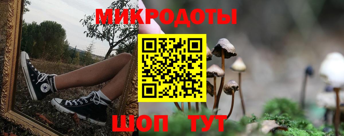 Галлюциногенные грибы мицелий Тихвин